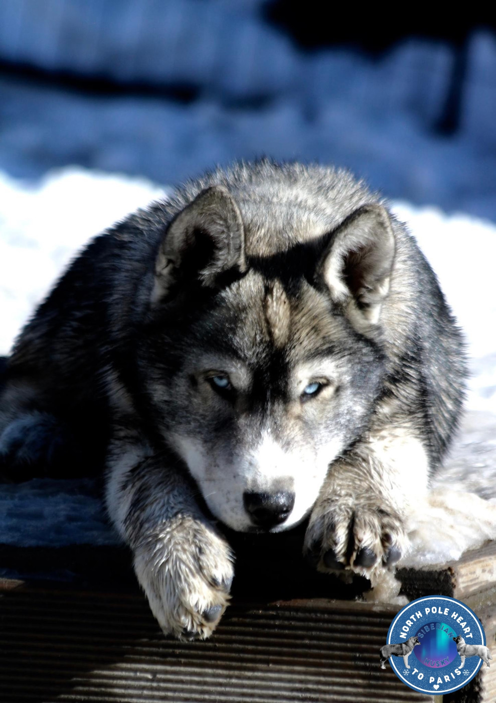 Upside Down North Pole Heart To Paris