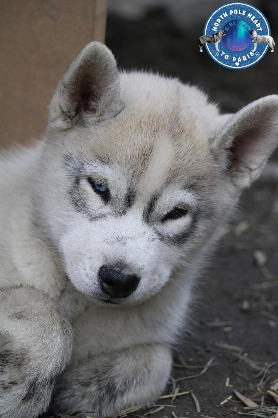 Ultime Love North Pole Heart To Paris