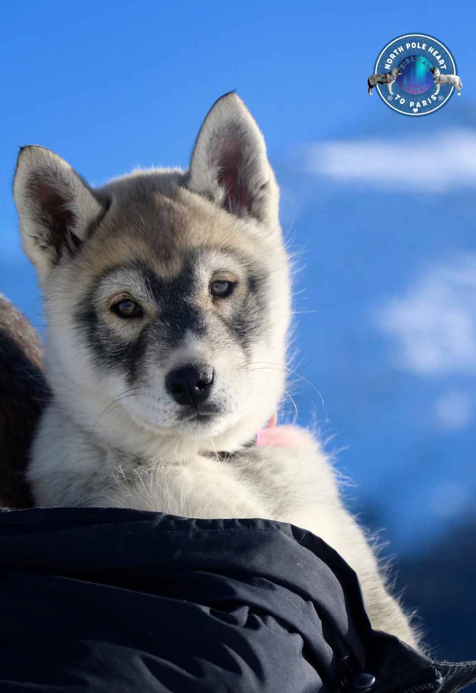 Victoria's Secret North Pole Heart To Paris