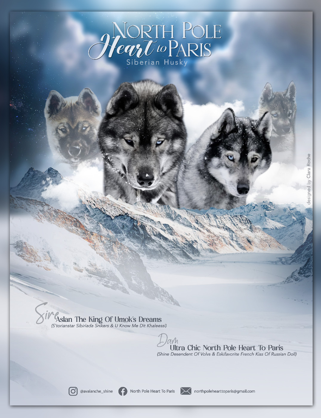 Portée en prévision