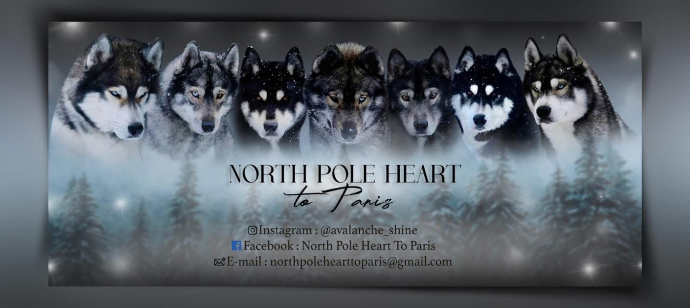 North Pole Heart To Paris