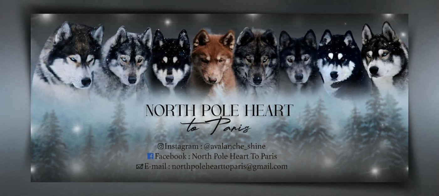 North Pole Heart To Paris